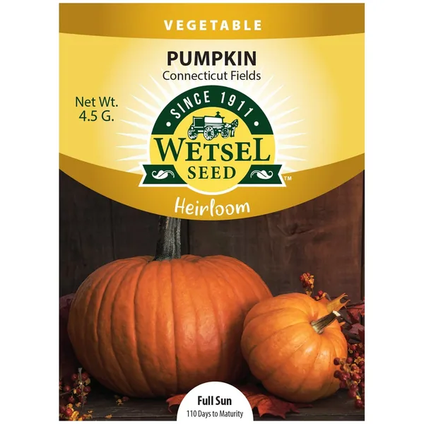 Pumpkin, Heirloom Connecticut Field 4.5 Grams