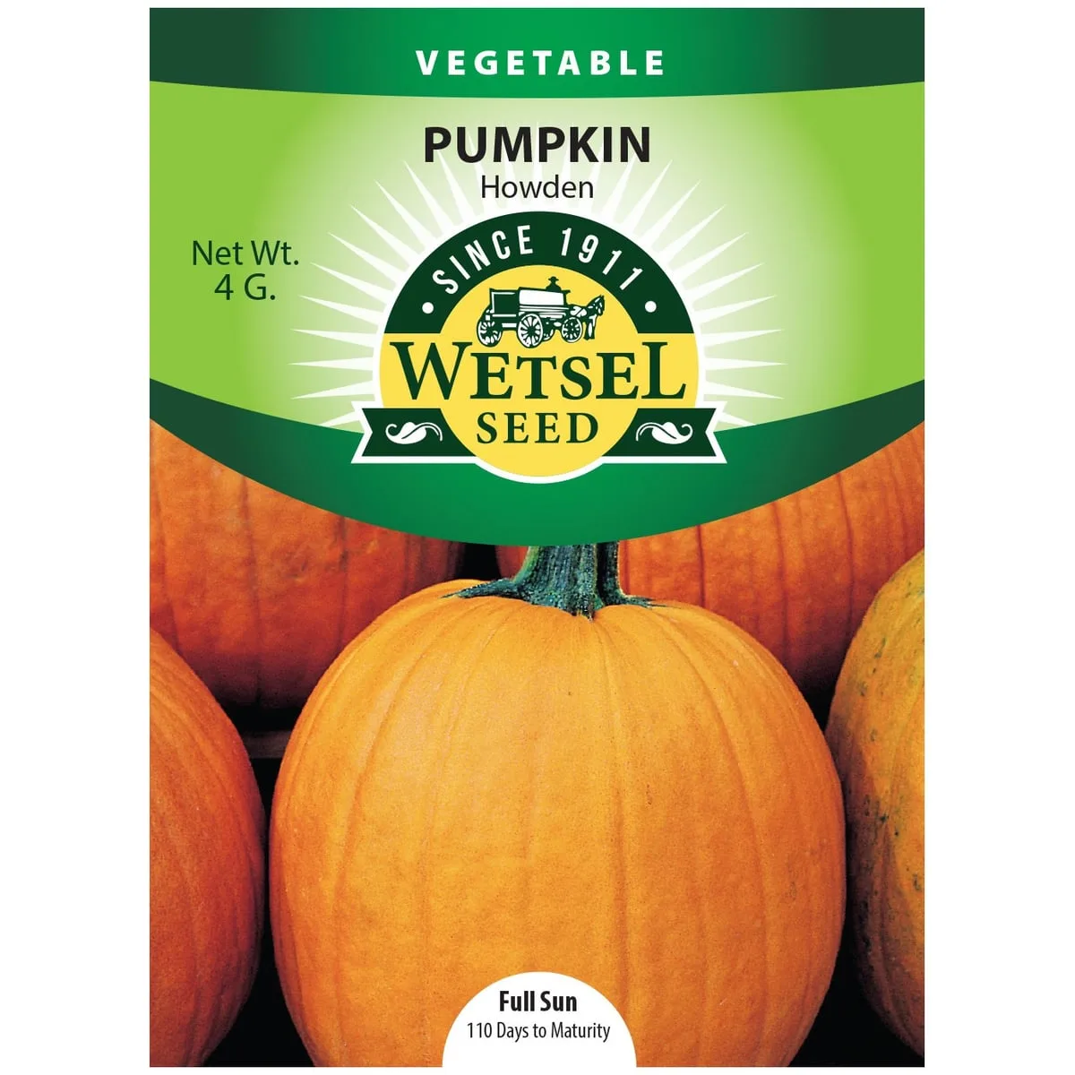 Pumpkin, Howden 4 Grams - Image 2