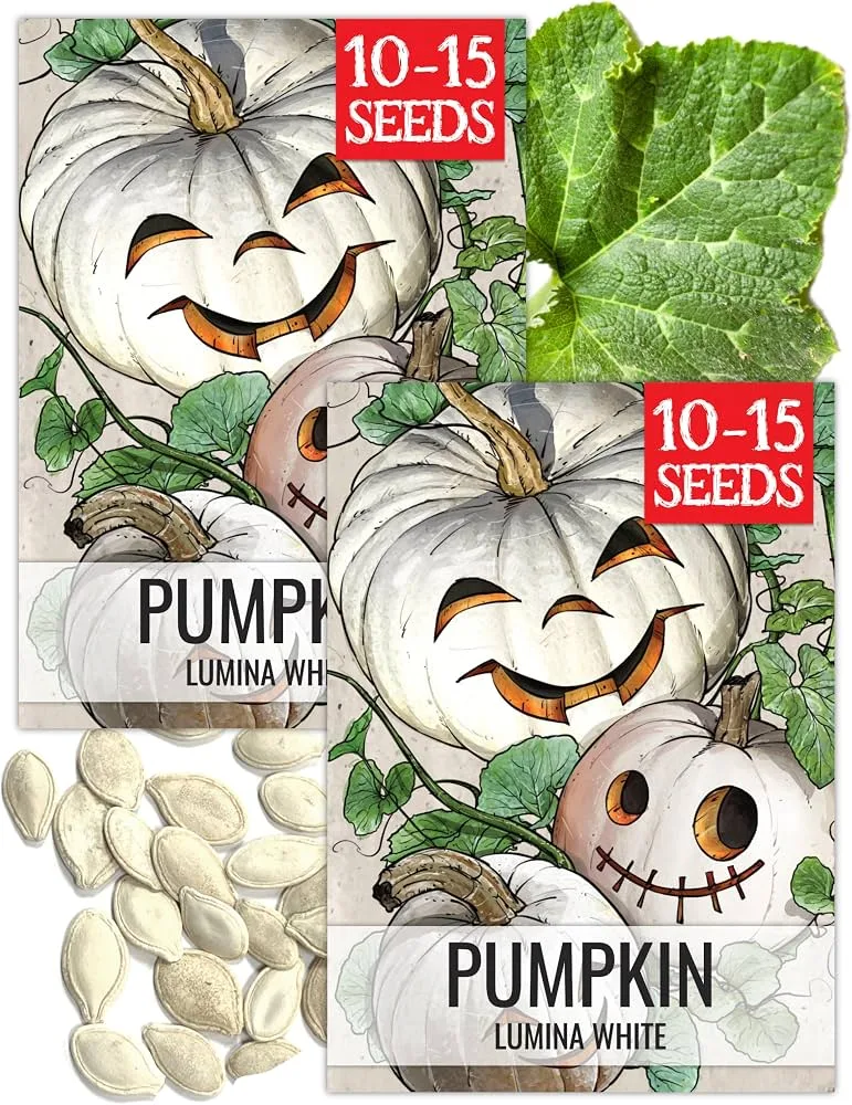 Pumpkin, Lumina White 1 Gram - Image 2