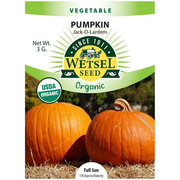 Pumpkin, Organic Jack O Lantern 3 Grams