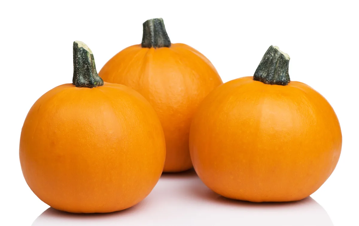 Pumpkin, Sugar Pie 1 - Image 2