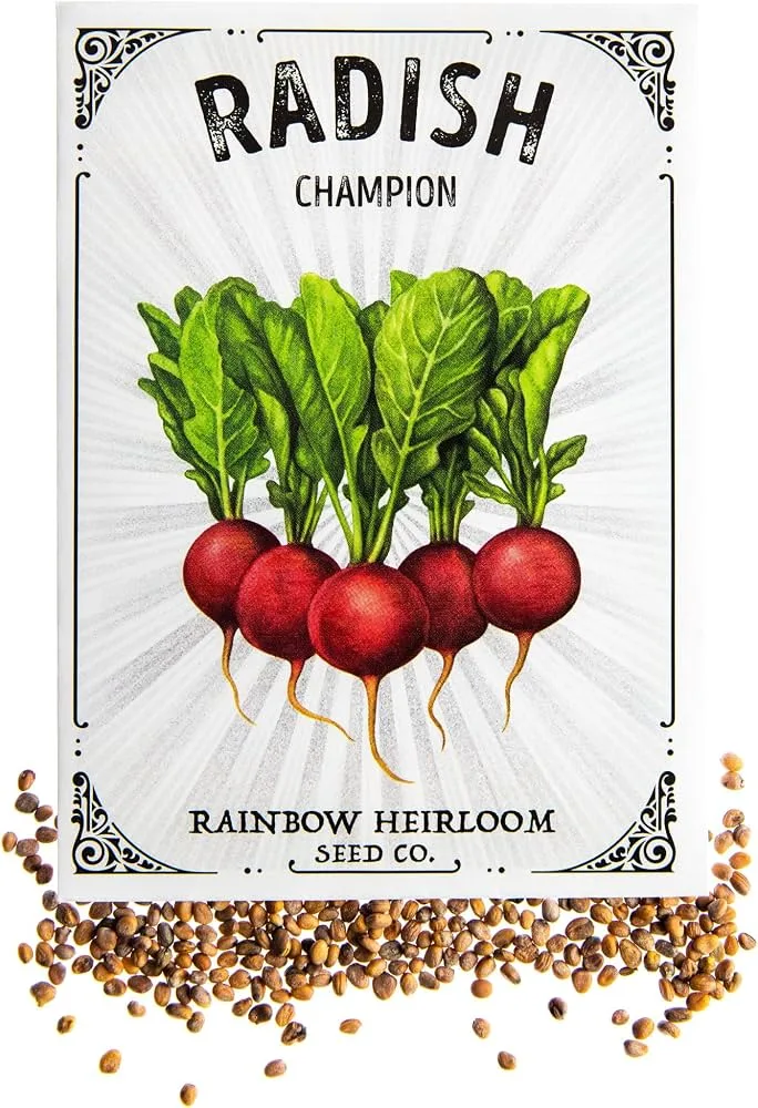 Radish, Champion 4 Grams - Image 2