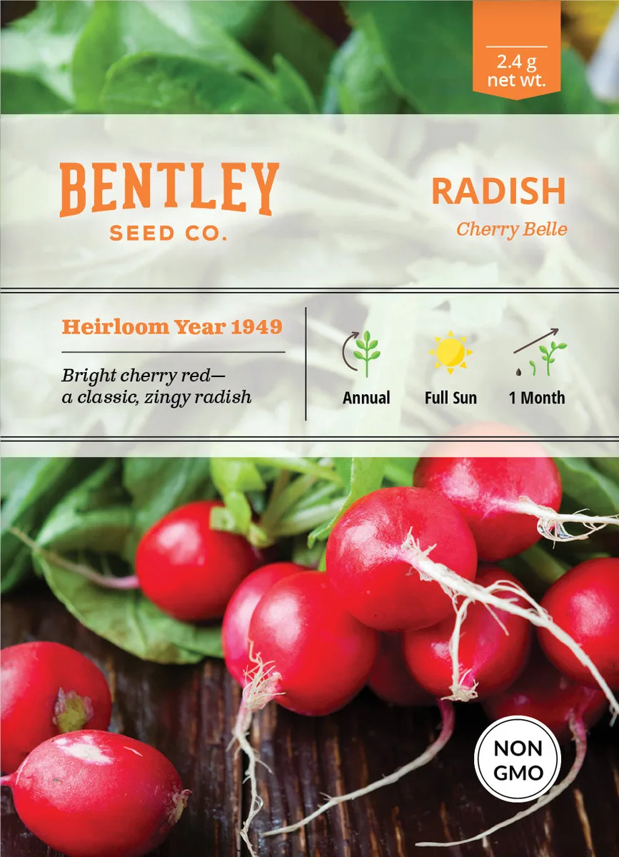 Radish, Cherry Belle 1/2oz - Image 2