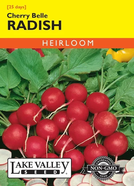 Radish, Cherry Belle 1lb