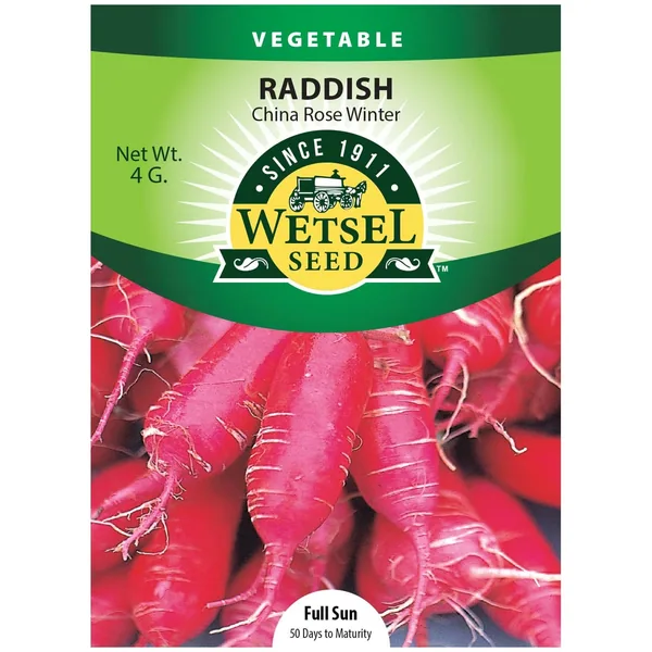 Radish, China Rose Winter 4 Grams