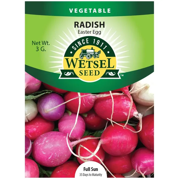 Radish, Easter Egg 3 Grams
