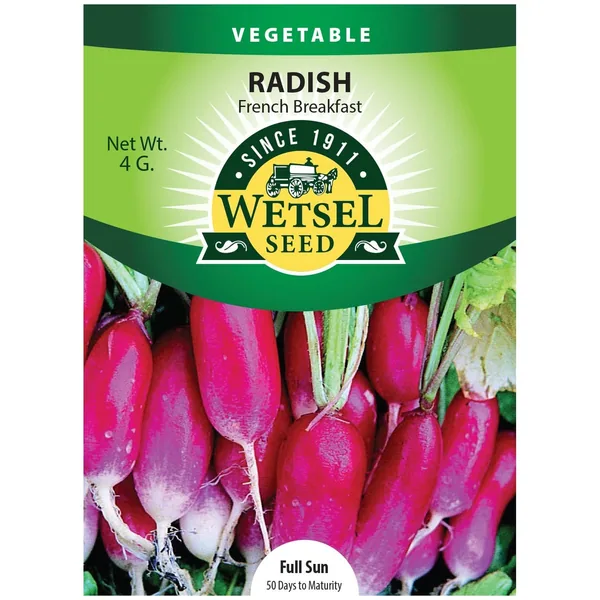 Radish, French Breakfast 4 Grams