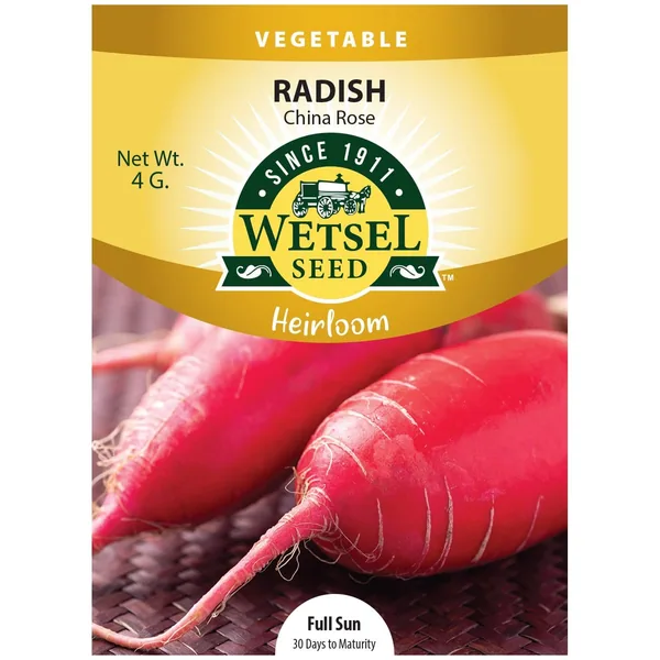 Radish, Heirloom China Rose 4 Grams