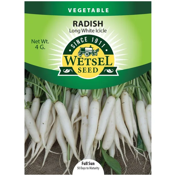 Radish, Long White Icicle 4 Grams
