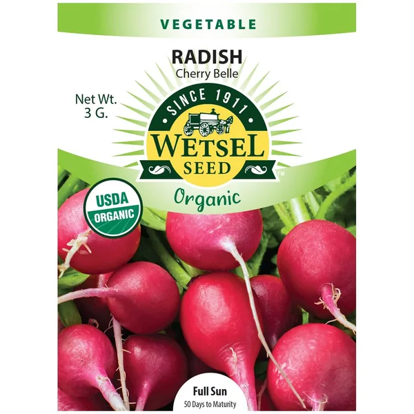Radish, Organic Cherry Belle 3 Grams