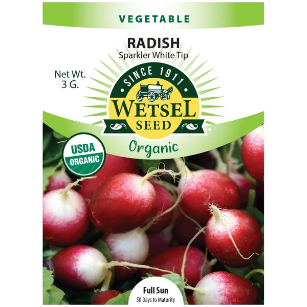 Radish, Organic Sparkler White Tip 3 Grams