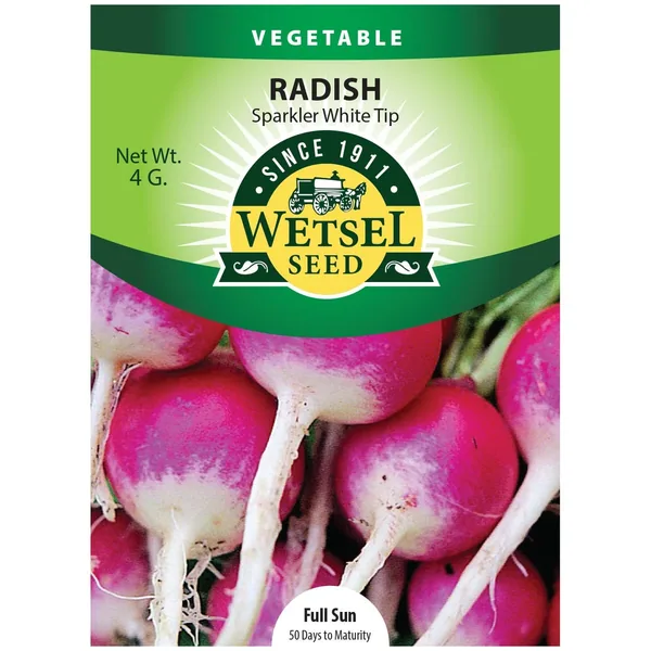 Radish, Sparkler White Tip 4 Grams