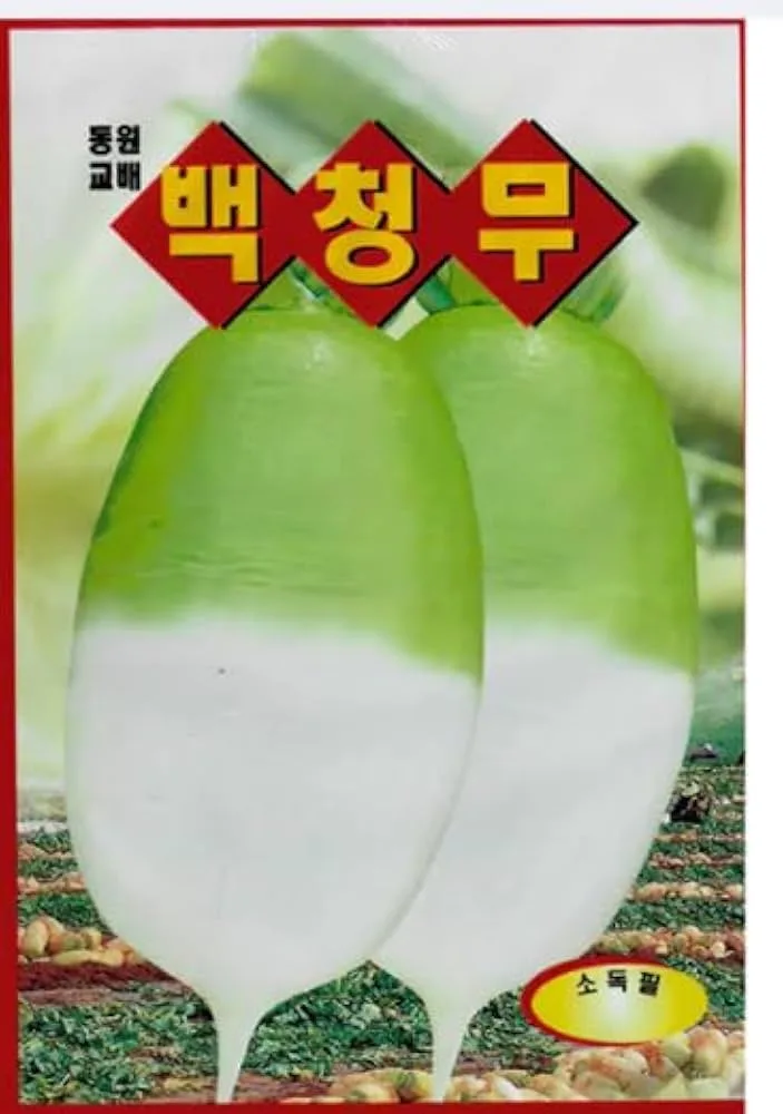 Radish, White Chinese Celestial 4 Grams - Image 2