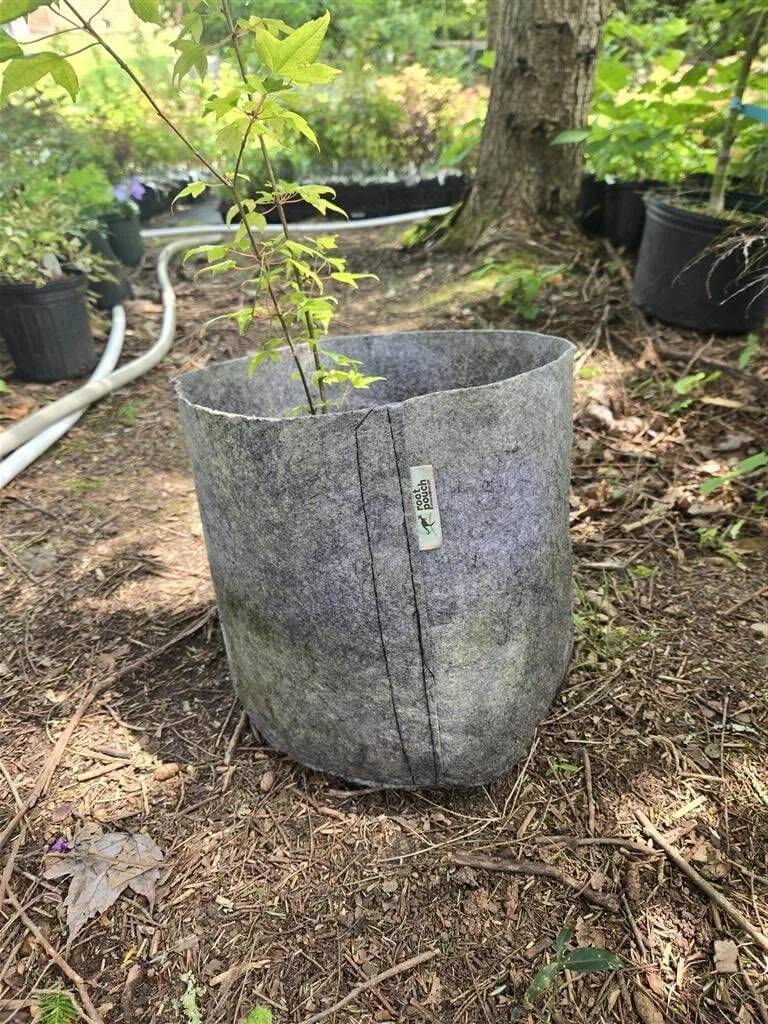 Root Pouch #03 Charcoal One & Done 3gal Fabric Pot - Image 2