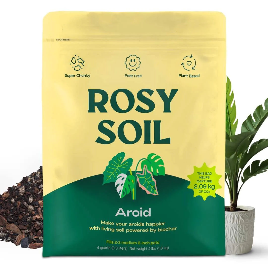 Rosy Soil 4qt Aroid Mix - Image 2