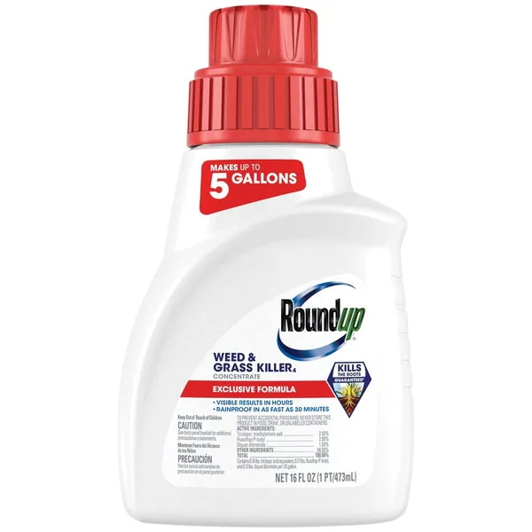 Roundup Weed & Grass Killer Concentrate Plus