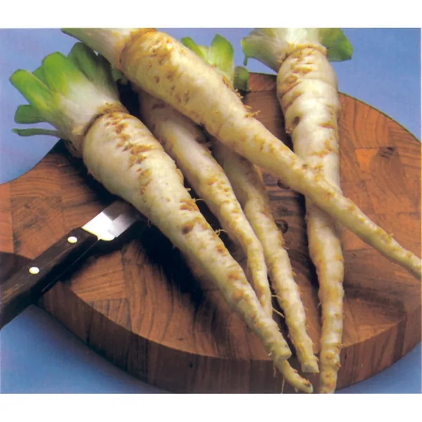 Salsify, Mammoth Island 1lb