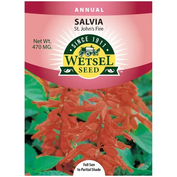 Salvia, St. John's Fire 470mg - Image 2