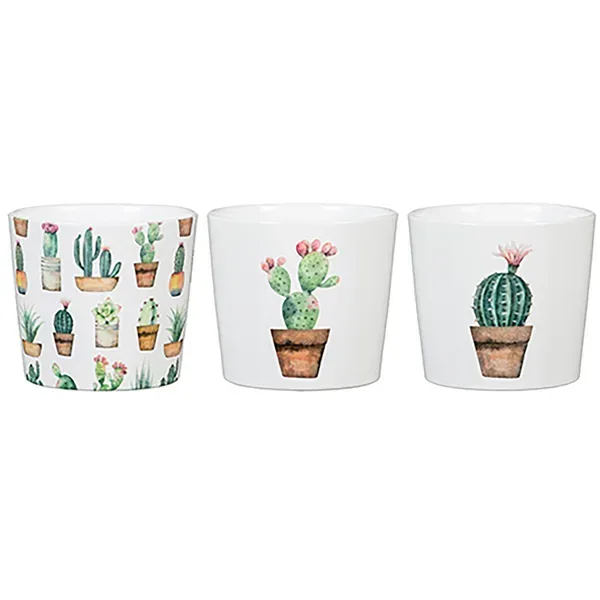 Scheurich 2.75" Cactus Gdn Asst 870/07 Planter - Image 2