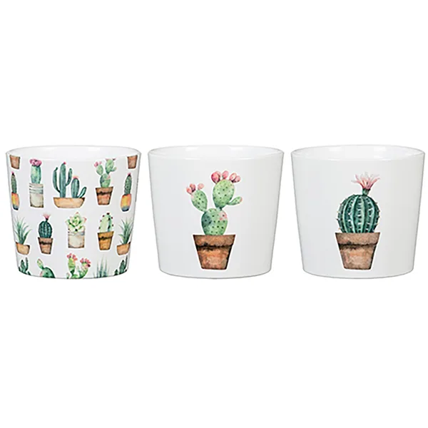 Scheurich 2.75" Cactus Gdn Asst 870/07 Planter