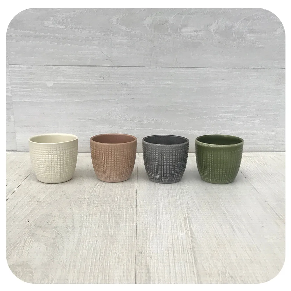 Scheurich 2.75" Corteza Assorted 866/07 Planter - Image 2