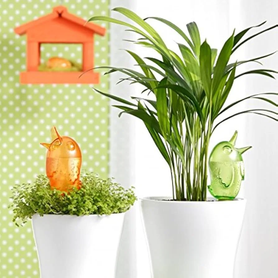 Scheurich Small Bordy Assorted Planter - Image 2
