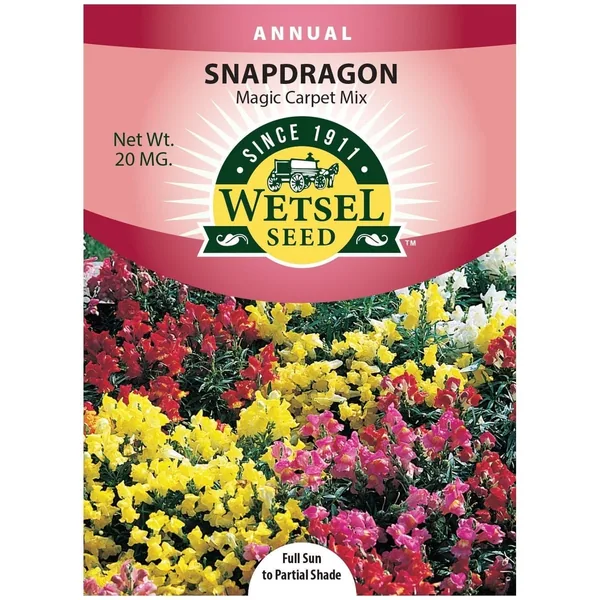 Snapdragon, Magic Carpet Mix 20mg