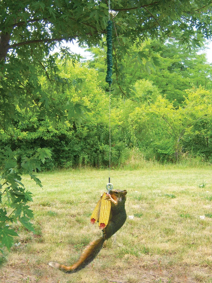 Songbird Essentials 24" Squngee Deluxe Squirrel Feeder - Image 2