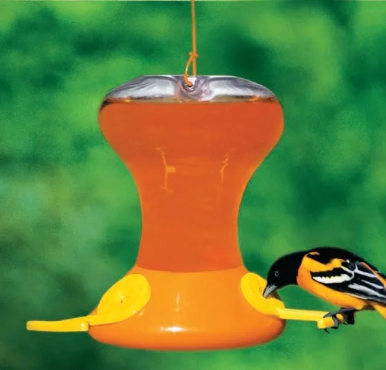 Songbird Essentials 30oz Oriole Feeder Jr w/ Active Bee Guards