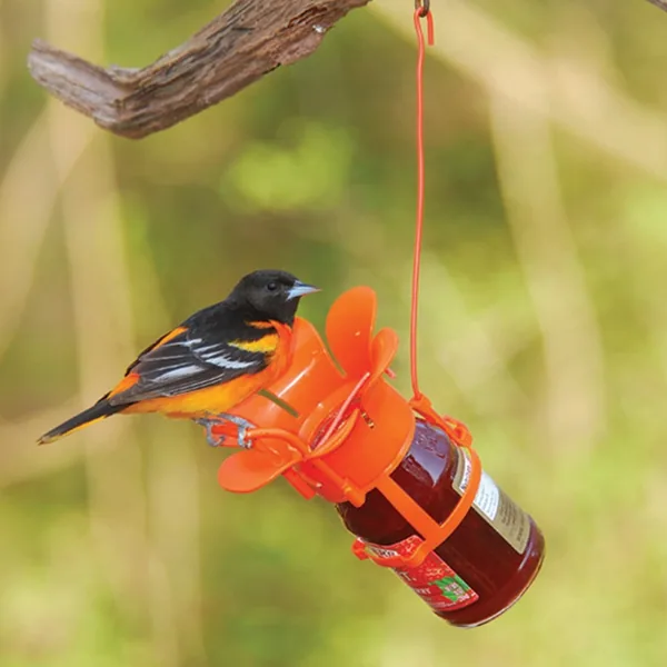 Songbird Essentials Fliteline Jelly & Jam Oriole Feeder