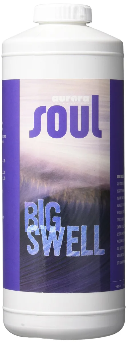 Soul Big Swell - Image 2