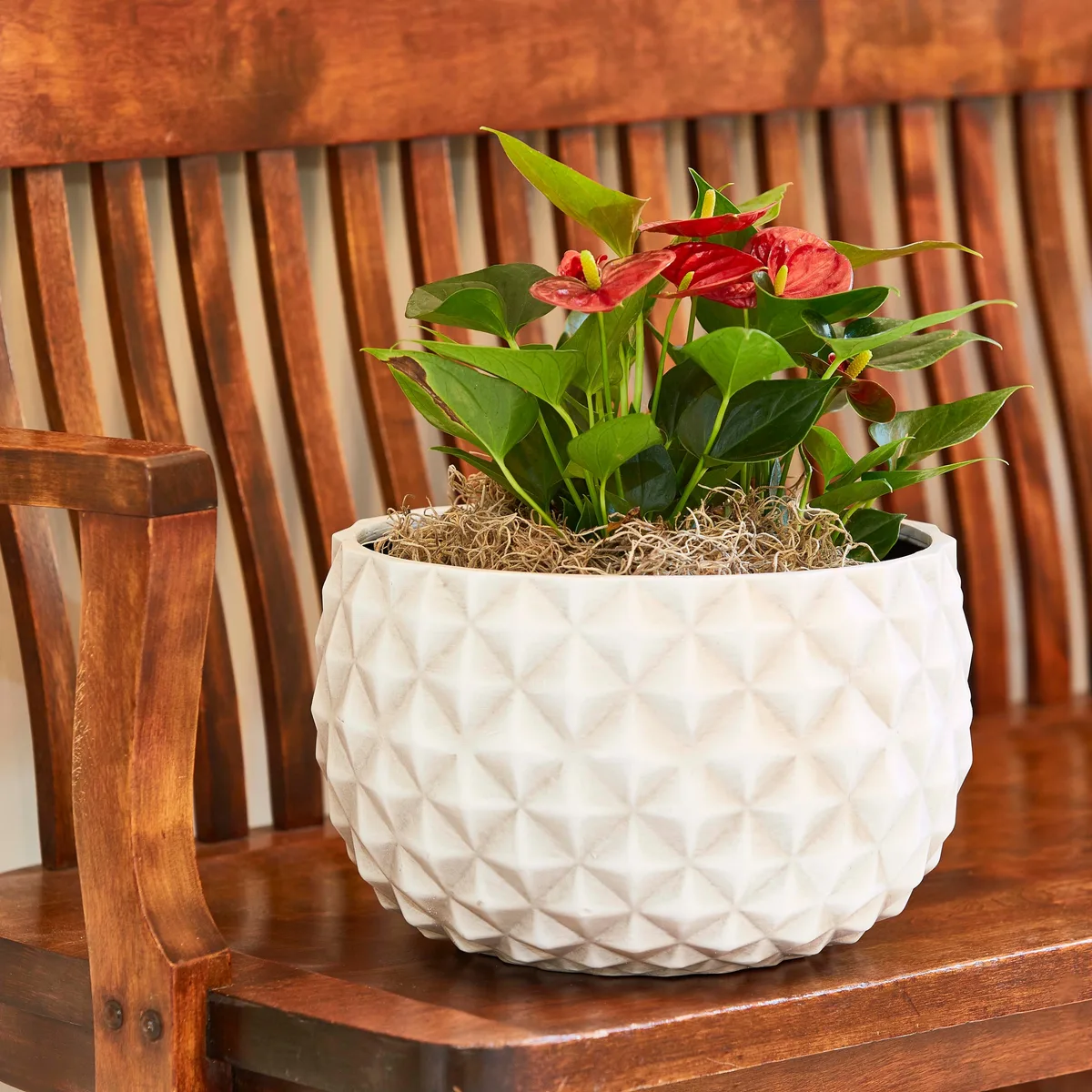 Southern Patio 12" Low Pineapple Planter White - Image 2