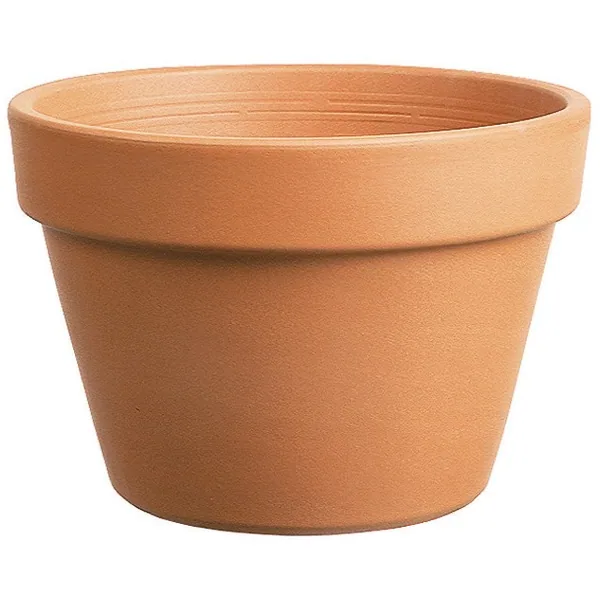 Southern Patio Azalea Clay Pot