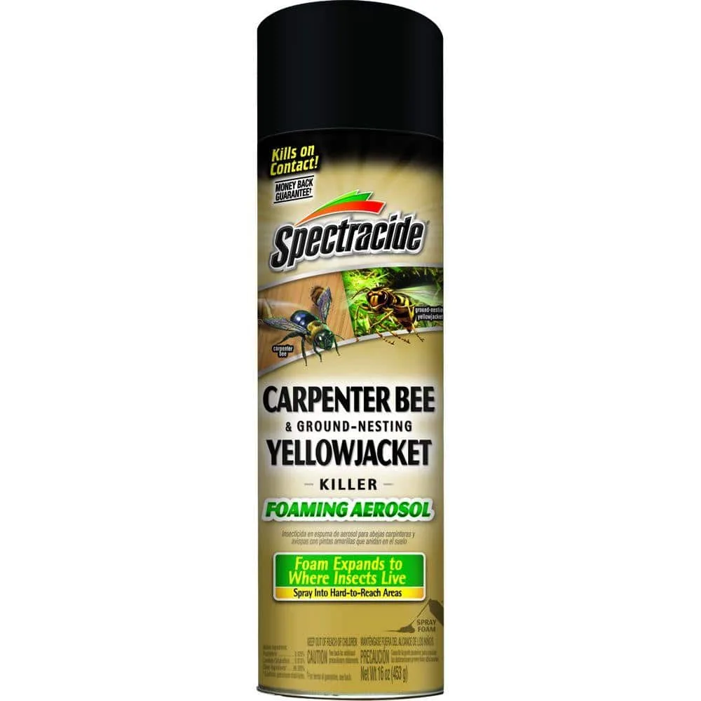Spectracide 16oz Carpenter Bee & Ground Wasp Foam - Image 2