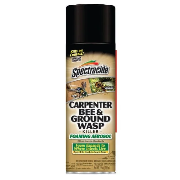 Spectracide 16oz Carpenter Bee & Ground Wasp Foam