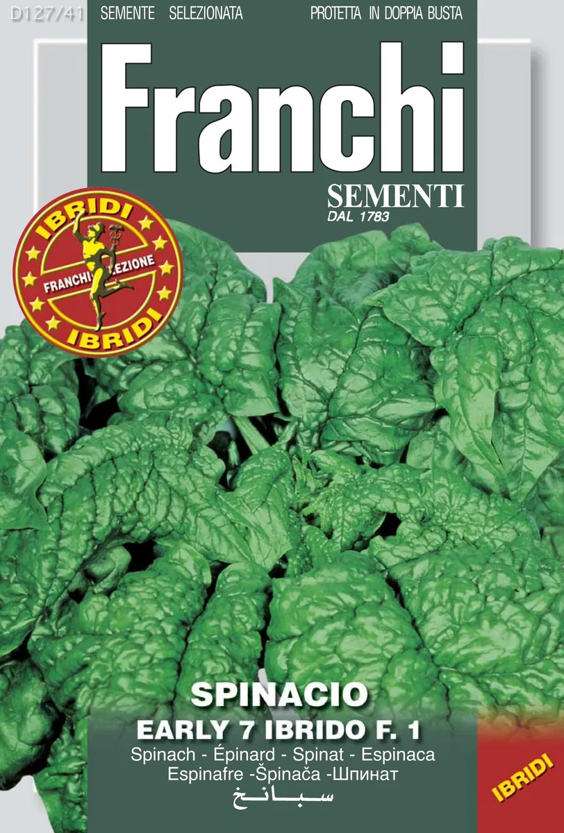 Spinach, Early Hybrid #7 4 Grams - Image 2