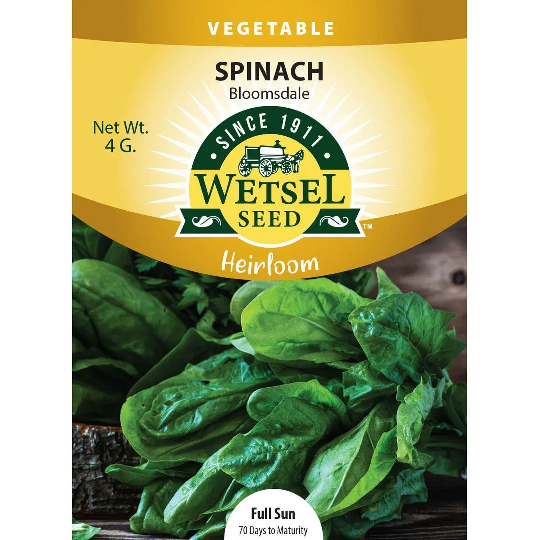 Spinach, Heirloom Bloomsdale 4 Grams - Image 2