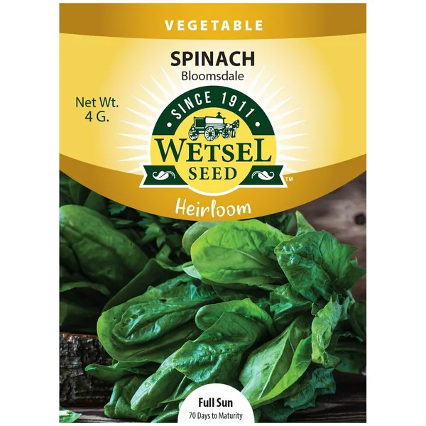 Spinach, Heirloom Bloomsdale 4 Grams