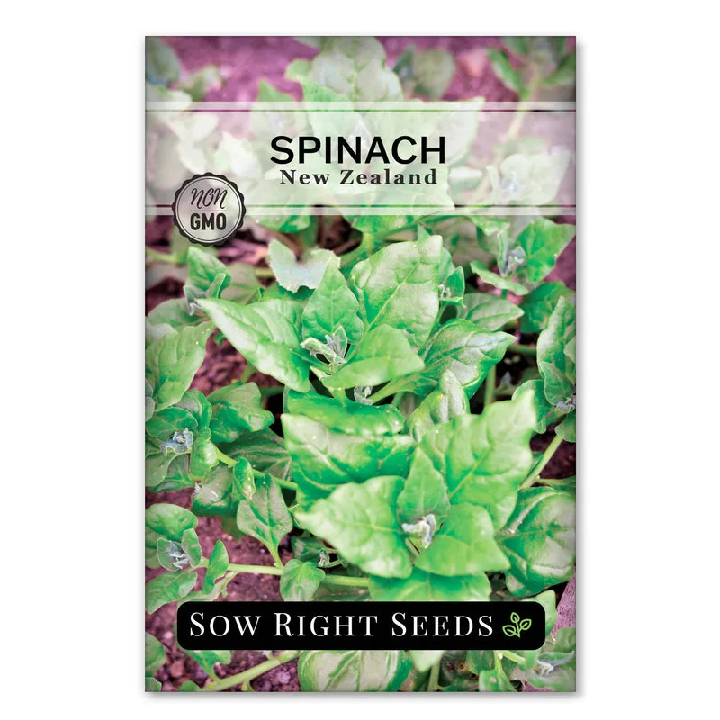 Spinach, New Zealand 4 Grams - Image 2