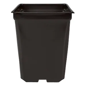 Square Pot 2qt 5.5in x 5.5in x 6in