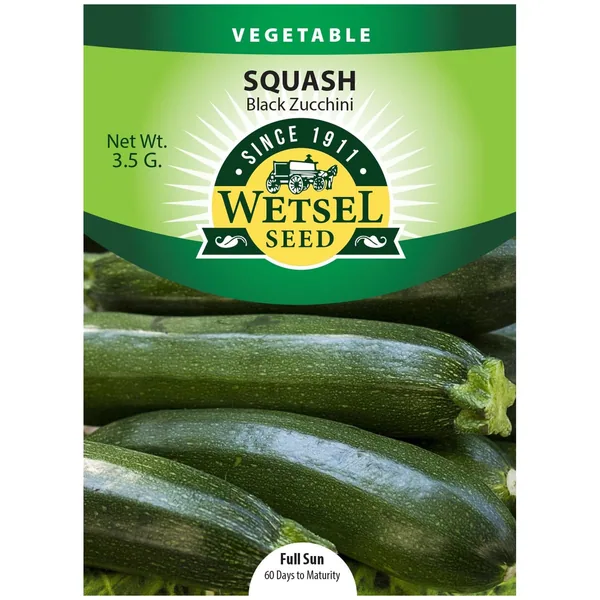 Squash, Black Zucchini 3.5 Grams