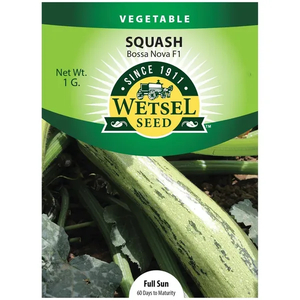 Squash, Bossa Nova 1 Gram - Image 2