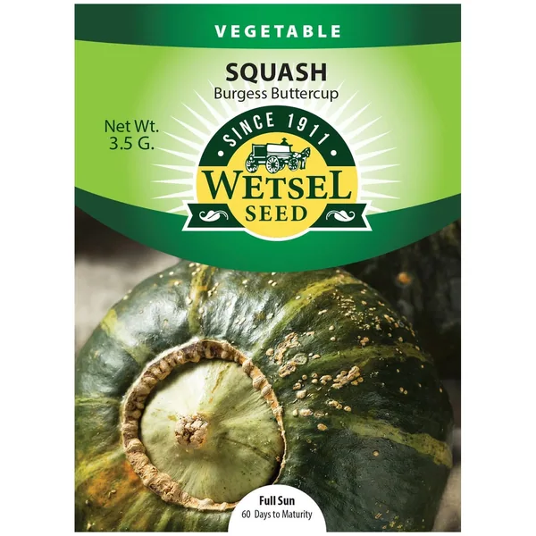 Squash, Burgess Buttercup 3.5 Grams