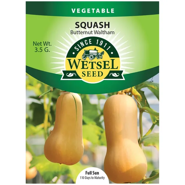 Squash, Butternut Waltham 3.5 Grams