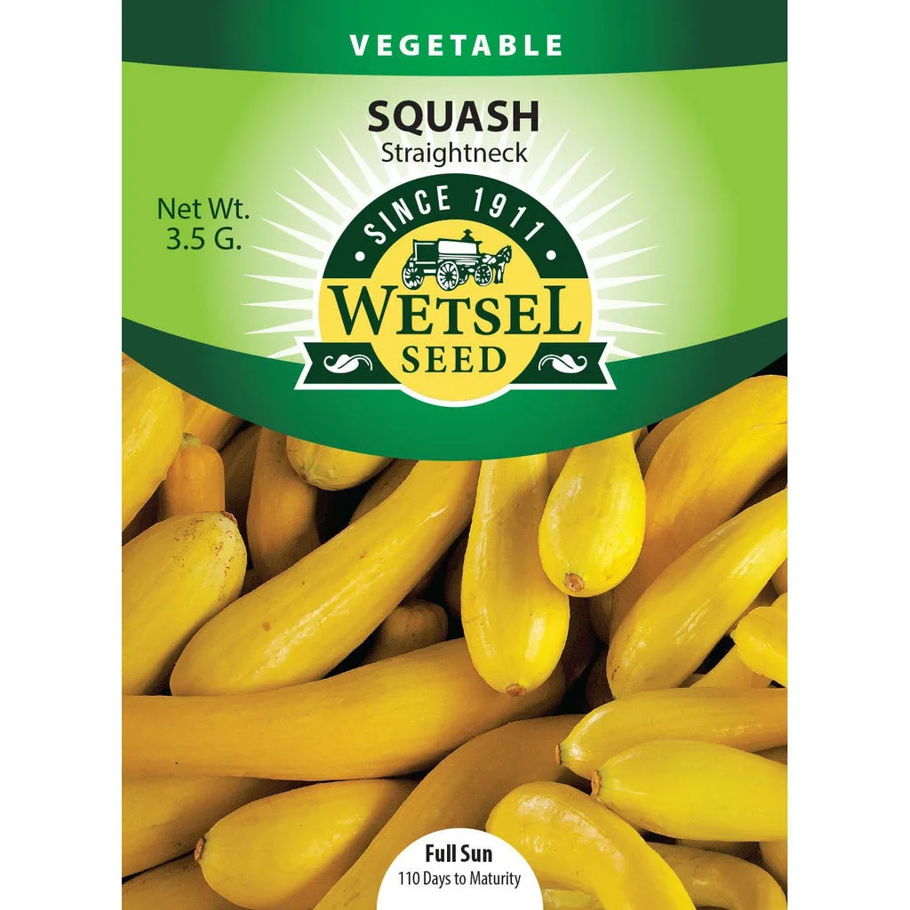 Squash, Early Cocozelle 3.5 Grams - Image 2