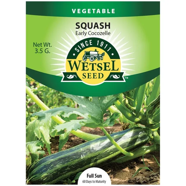 Squash, Early Cocozelle 3.5 Grams