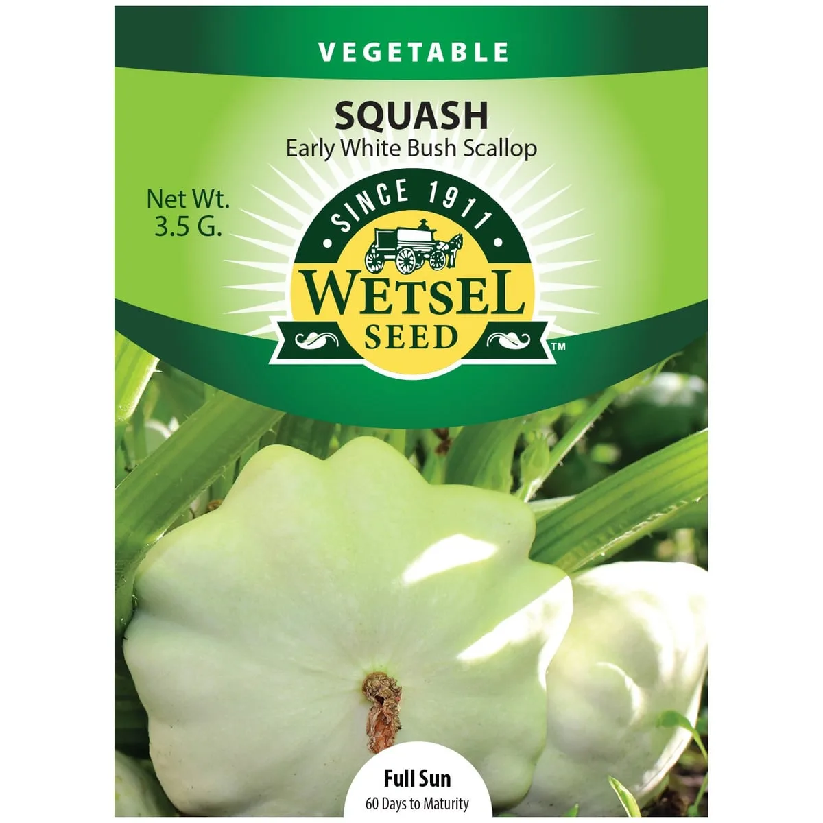 Squash, Early White Bush 3.5 Grams - Image 2