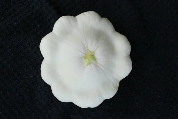 Squash, Early White Bush 50 lbs