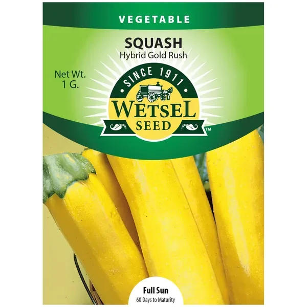 Squash, Gold Rush Hybrid 1 Gram - Image 2