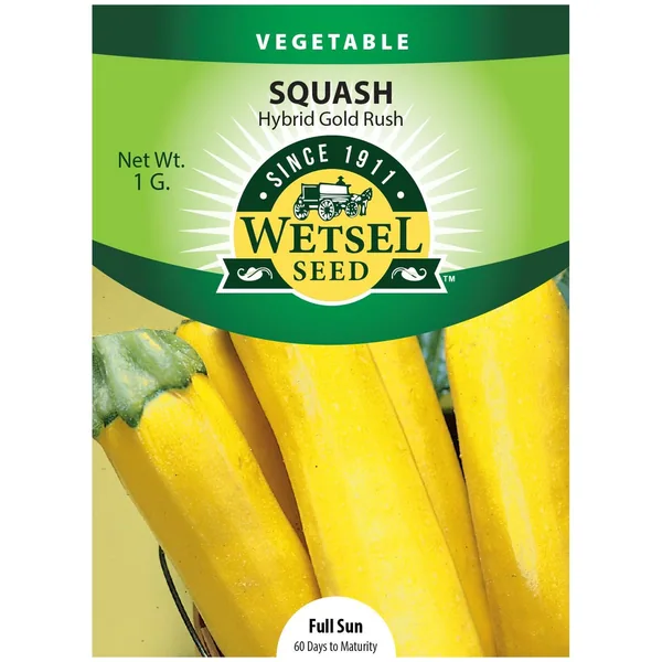 Squash, Gold Rush Hybrid 1 Gram